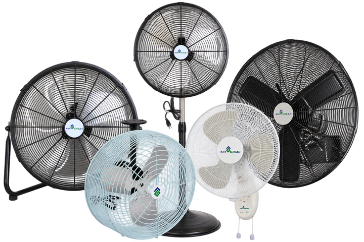 Fans